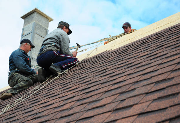 Roof Gutter Cleaning in Eielson Af, AK